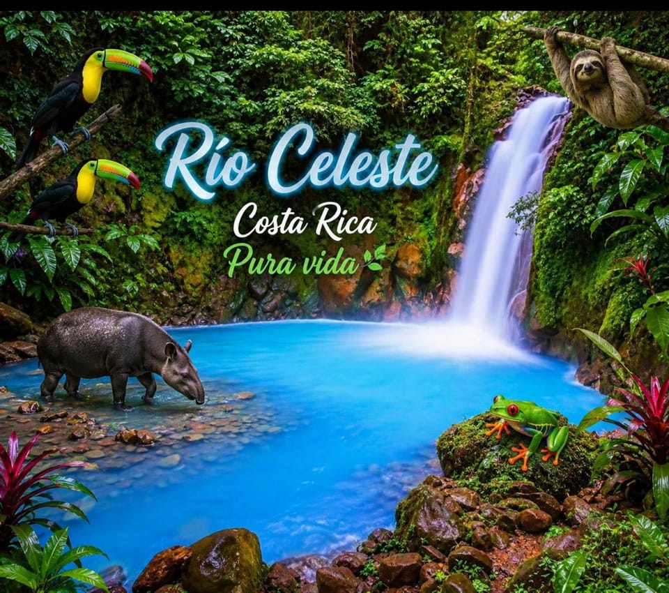 Chalets río celeste byl Apartment in Alajuela Province