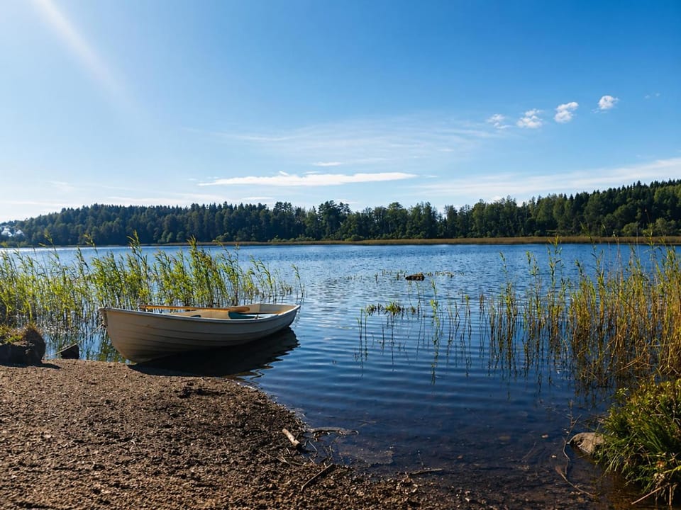 Natural landscape