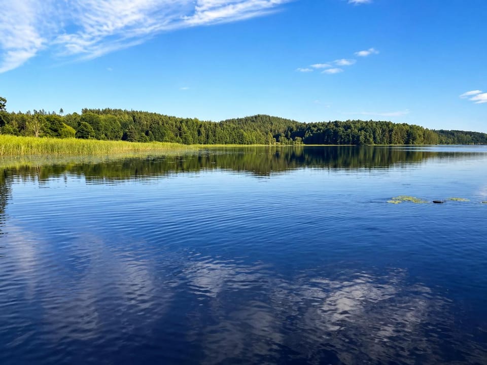 Natural landscape