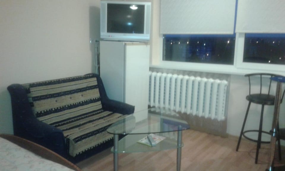 1 kambario butas Apartment in Lithuania