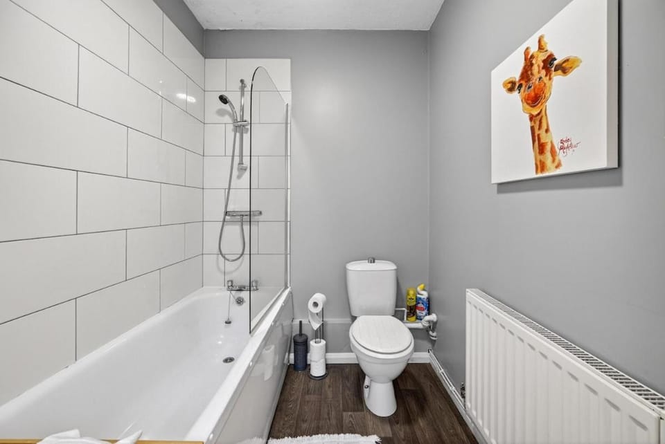 Toilet, Bathroom, Bath
