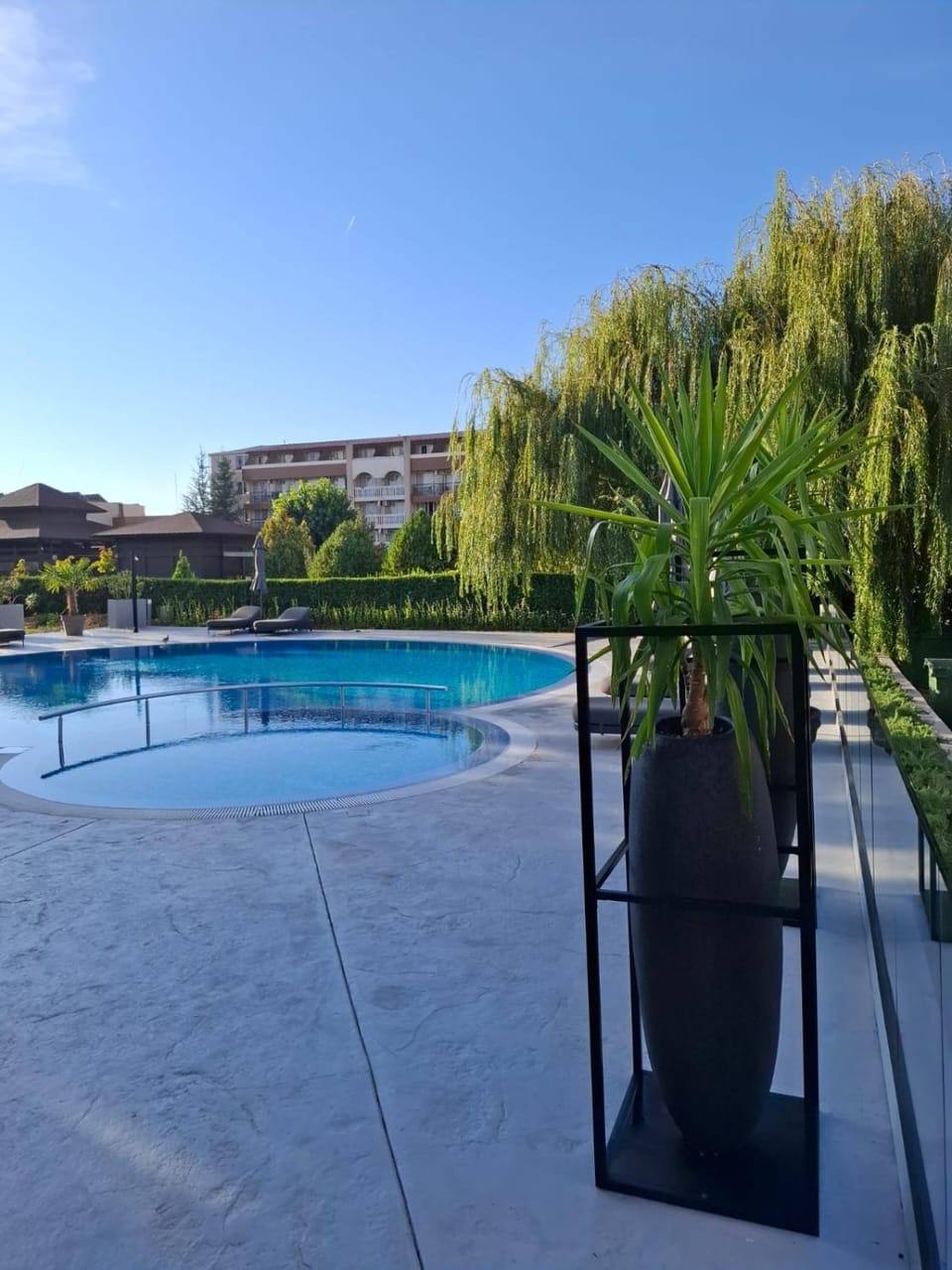 Garden, Garden view, Pool view, Swimming pool, sunbed