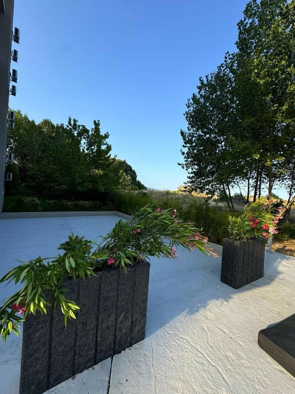 Day, Natural landscape, Garden