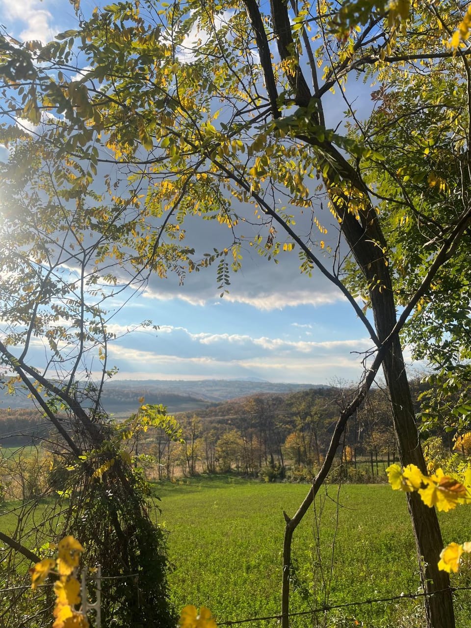 Rent a peace and quiet House in Serbia