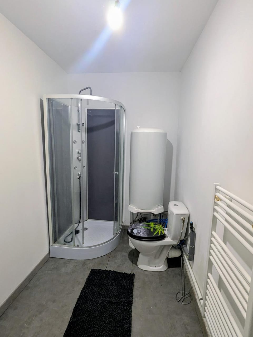 Shower, Toilet, Bathroom