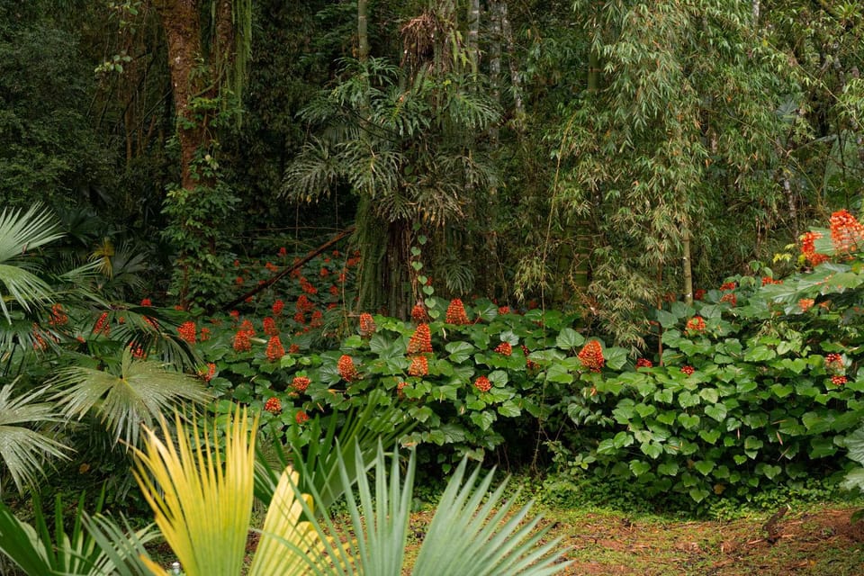Hiking, Garden view
