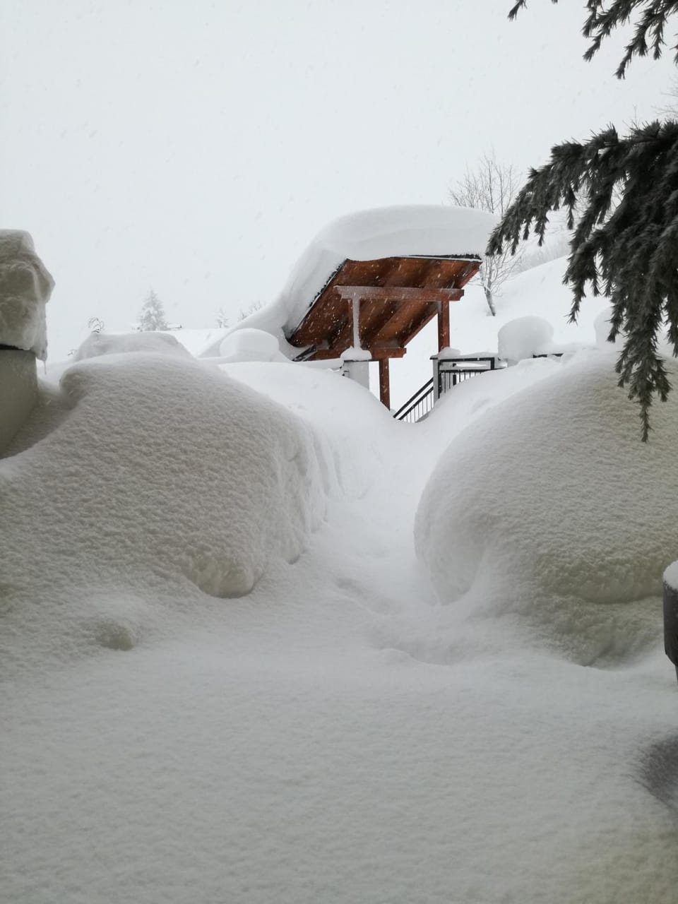 Kendlhof Apartment in Salzburgerland