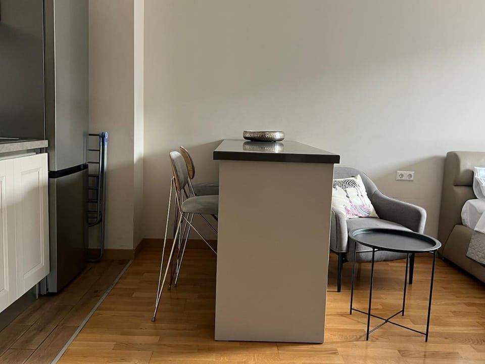 Light Studio Chavchavadze 50 Apartment in Tbilisi, Georgia