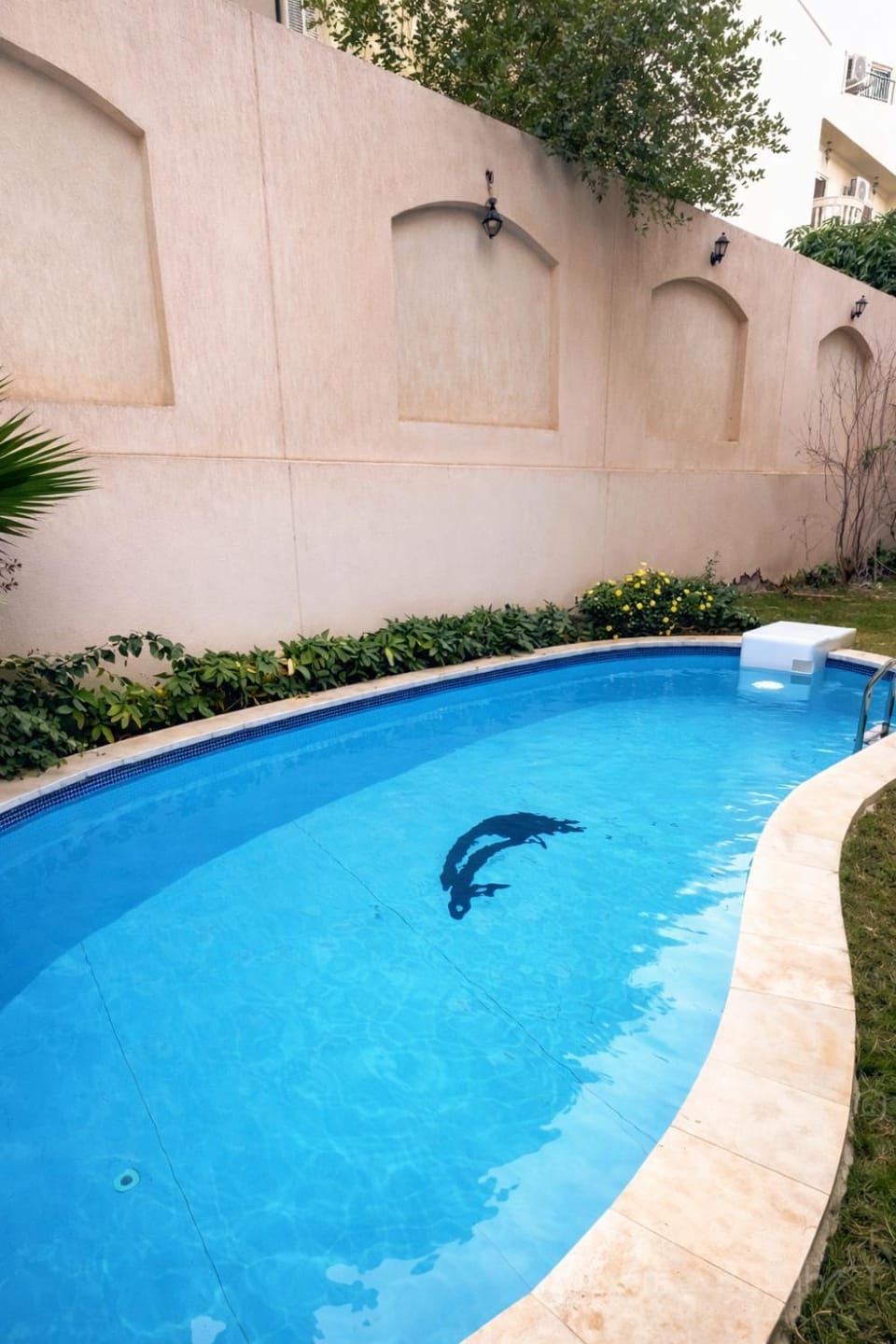 Garden, Swimming pool