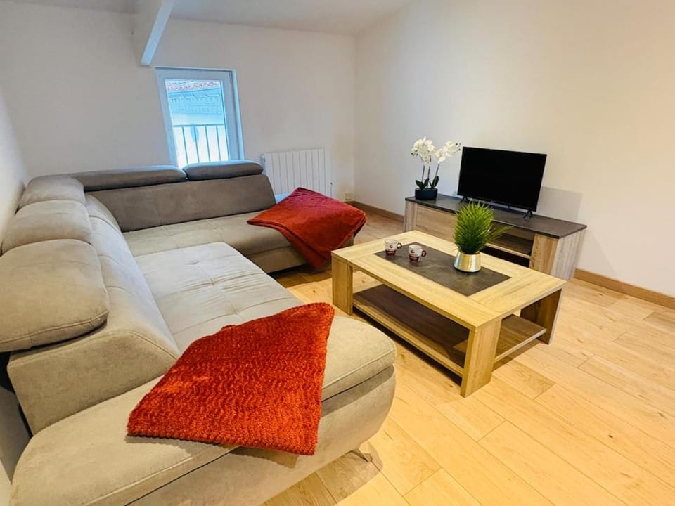 L'Emile Zola l 2 Chambres l Hypercentre Apartment in Occitanie