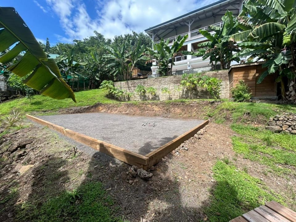 Day, Natural landscape, Garden, Garden view