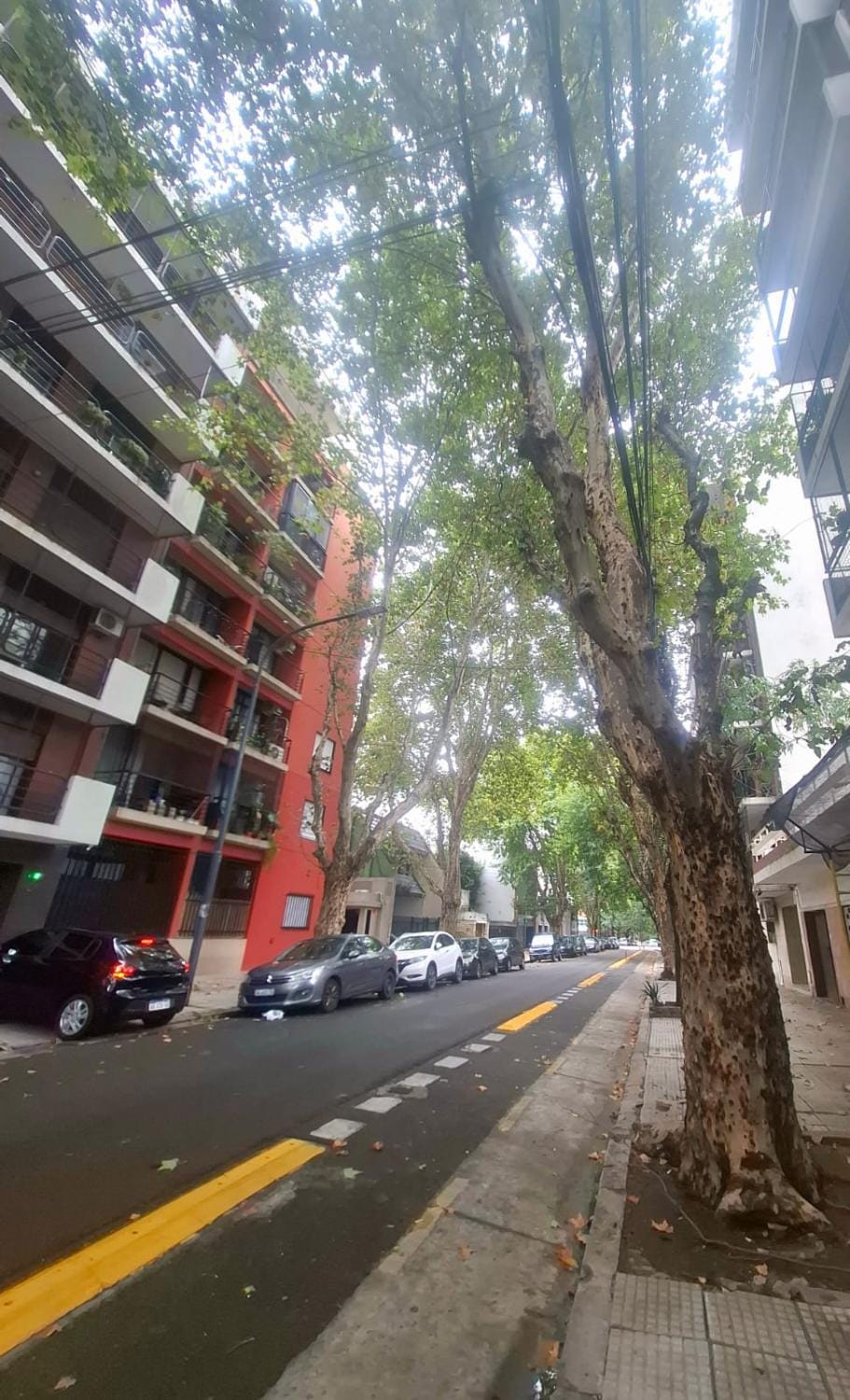 Monoambiente en Belgrano Zona Hospital Pirovano Apartment in Buenos Aires