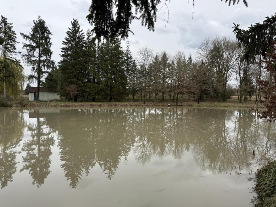 Charmant gîte avec parking, animaux OK - Sologne - FR-1-491-474 House in Centre-Val de Loire