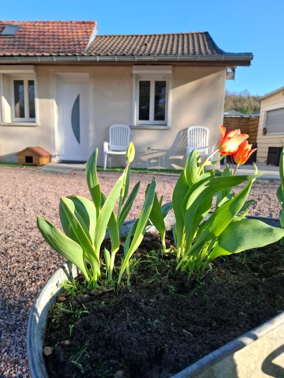 Property building