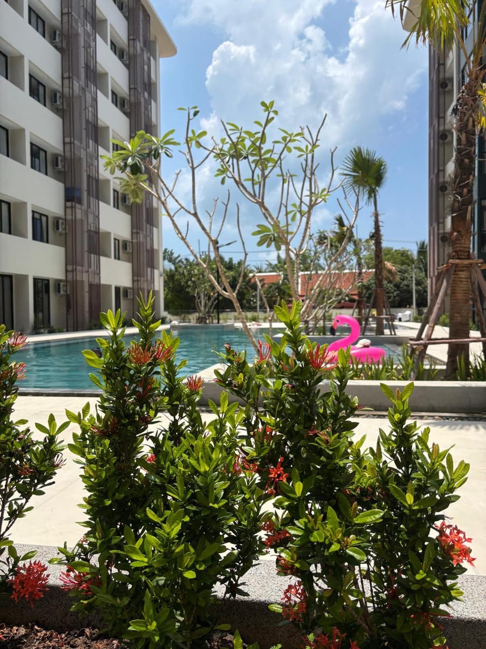 Property building, Swimming pool