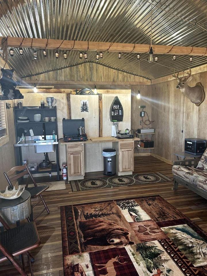Secluded Mountain Cabin with 20 Private Acres Near Pintler Mountains, Anaconda, Montana Cabin in Anaconda