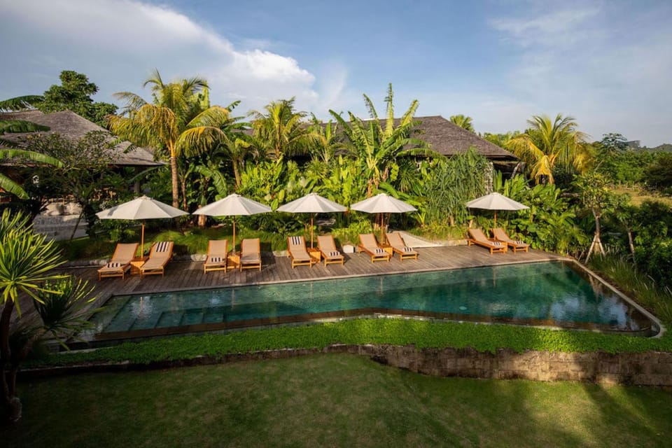 Day, Natural landscape, Garden, Garden view, Pool view, Swimming pool, Swimming pool, sunbed