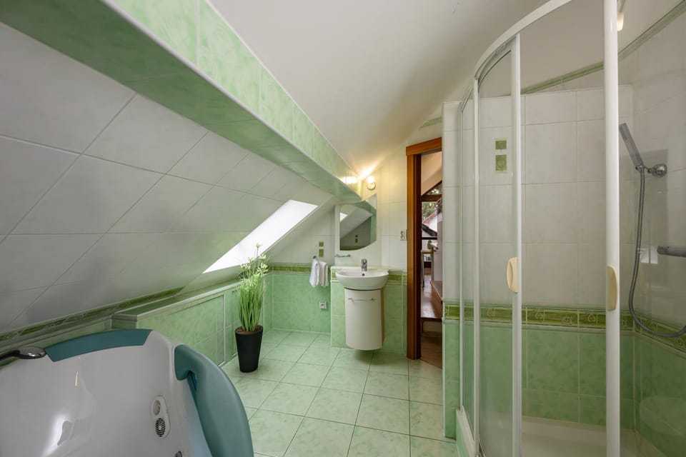 Villa Reina Apartment in Prague