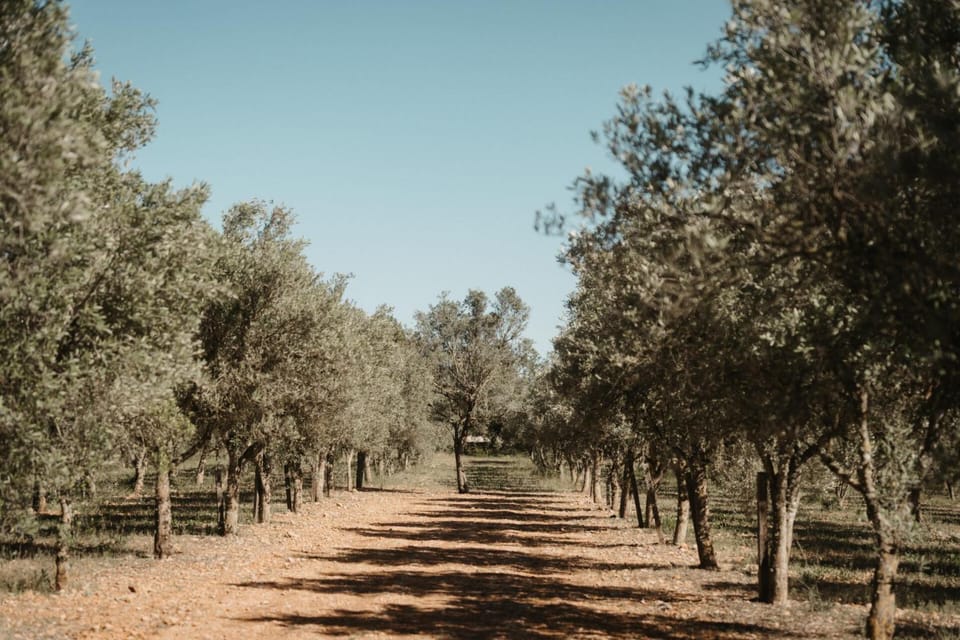 Day, Natural landscape