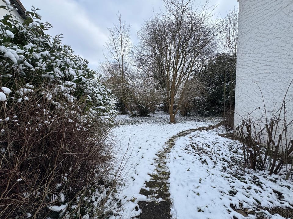 Day, Natural landscape, Winter