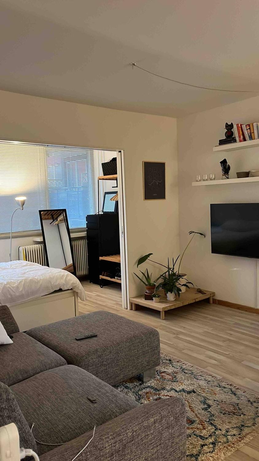 Communal lounge/ TV room, TV and multimedia, Living room