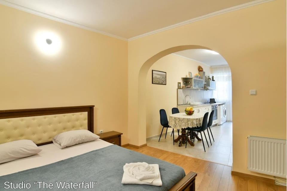 Bed, Kitchen or kitchenette, Living room, Photo of the whole room, Seating area, Dining area, Bedroom, internet