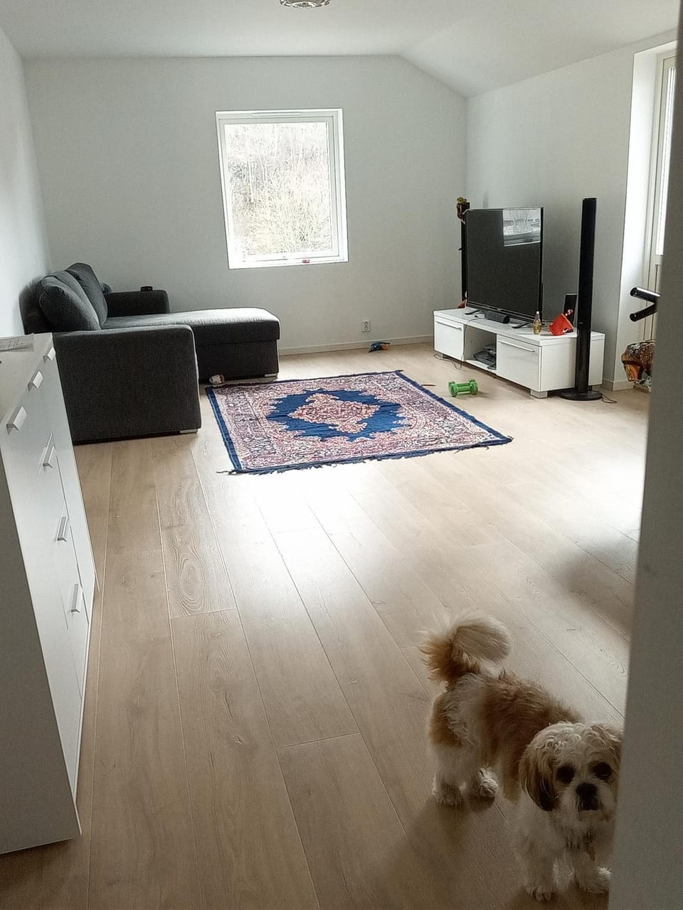 Rooms in Paradis Vacation rental in Bergen