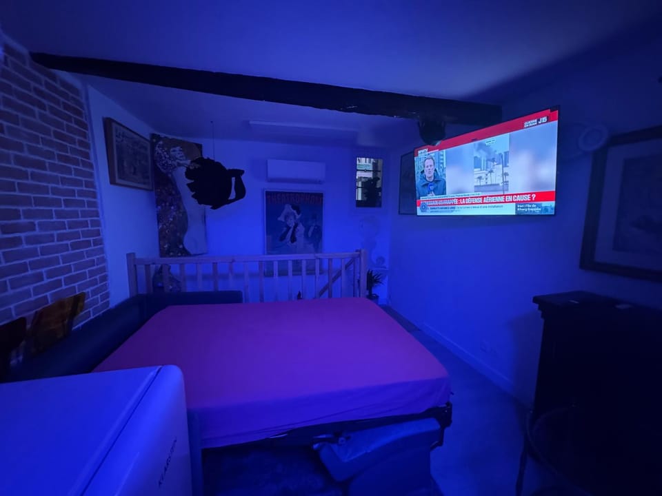 Loving Room Centre ville Toulouse Apartment in Toulouse