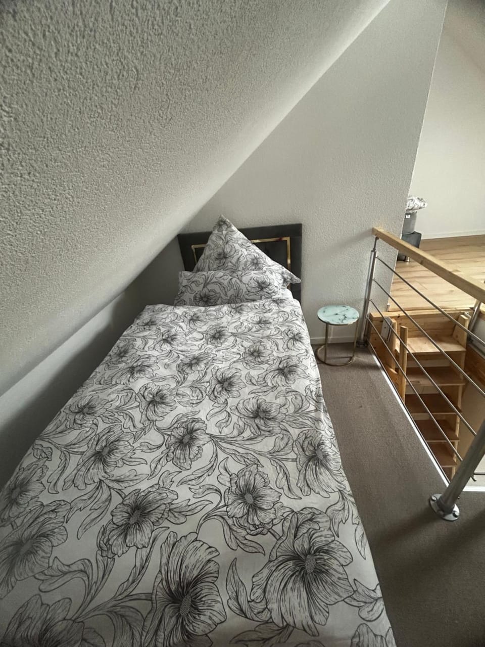 Grenz-Apartment an der Aach Apartment in Singen