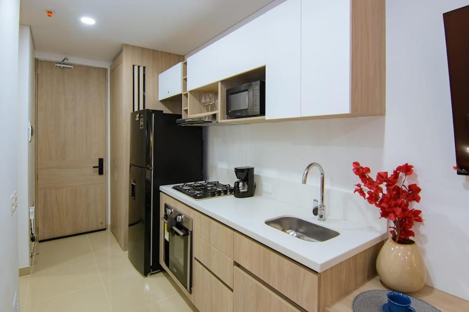 Kitchen or kitchenette, dishwasher, oven, stove