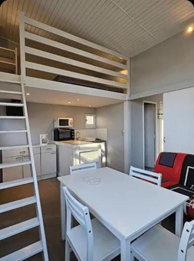 Sunrise, pet friendly