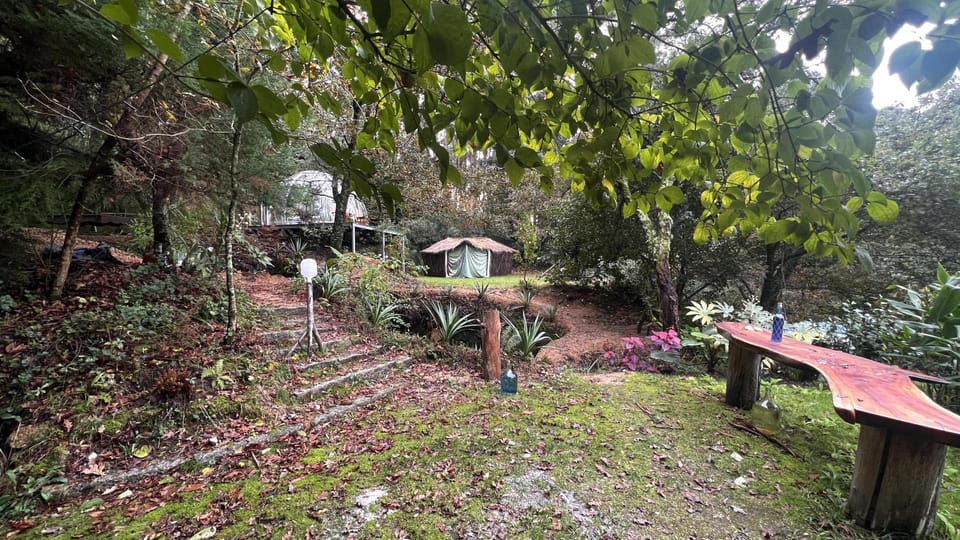 Property building, Natural landscape, Garden, Garden view