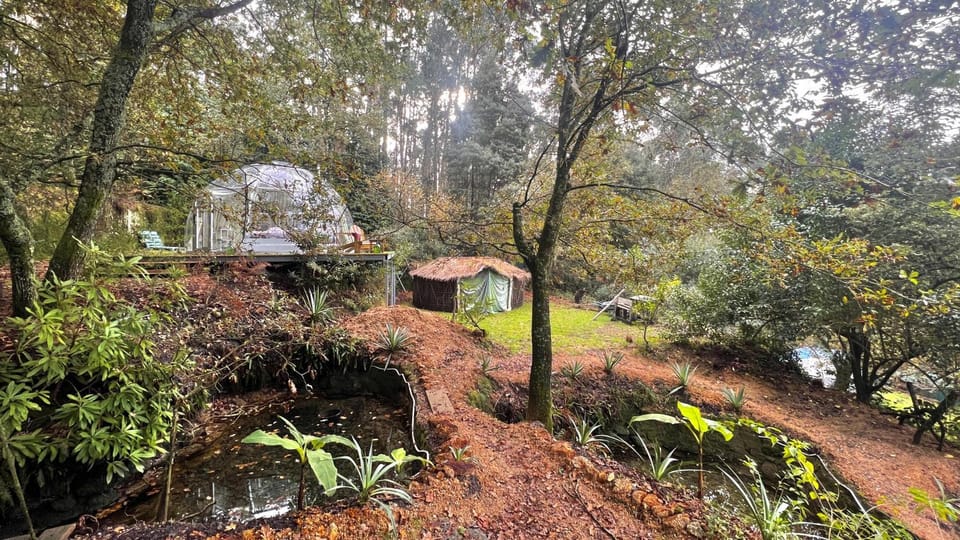 Property building, Natural landscape, Garden, Garden view