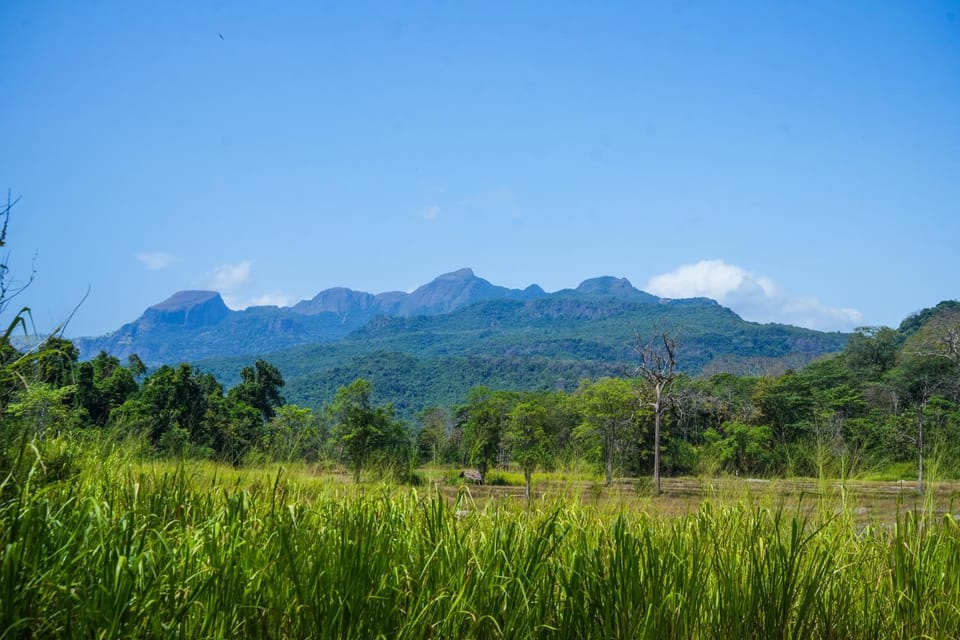 Gadja Safari Sulugune Campground/ 
RV Resort in Central Province