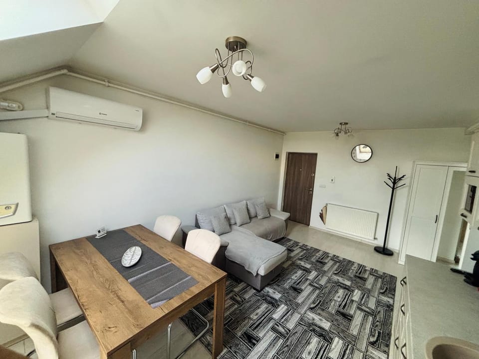 Vlad Home 22 - apartament cu balcon și parcare privată Apartment in Romania