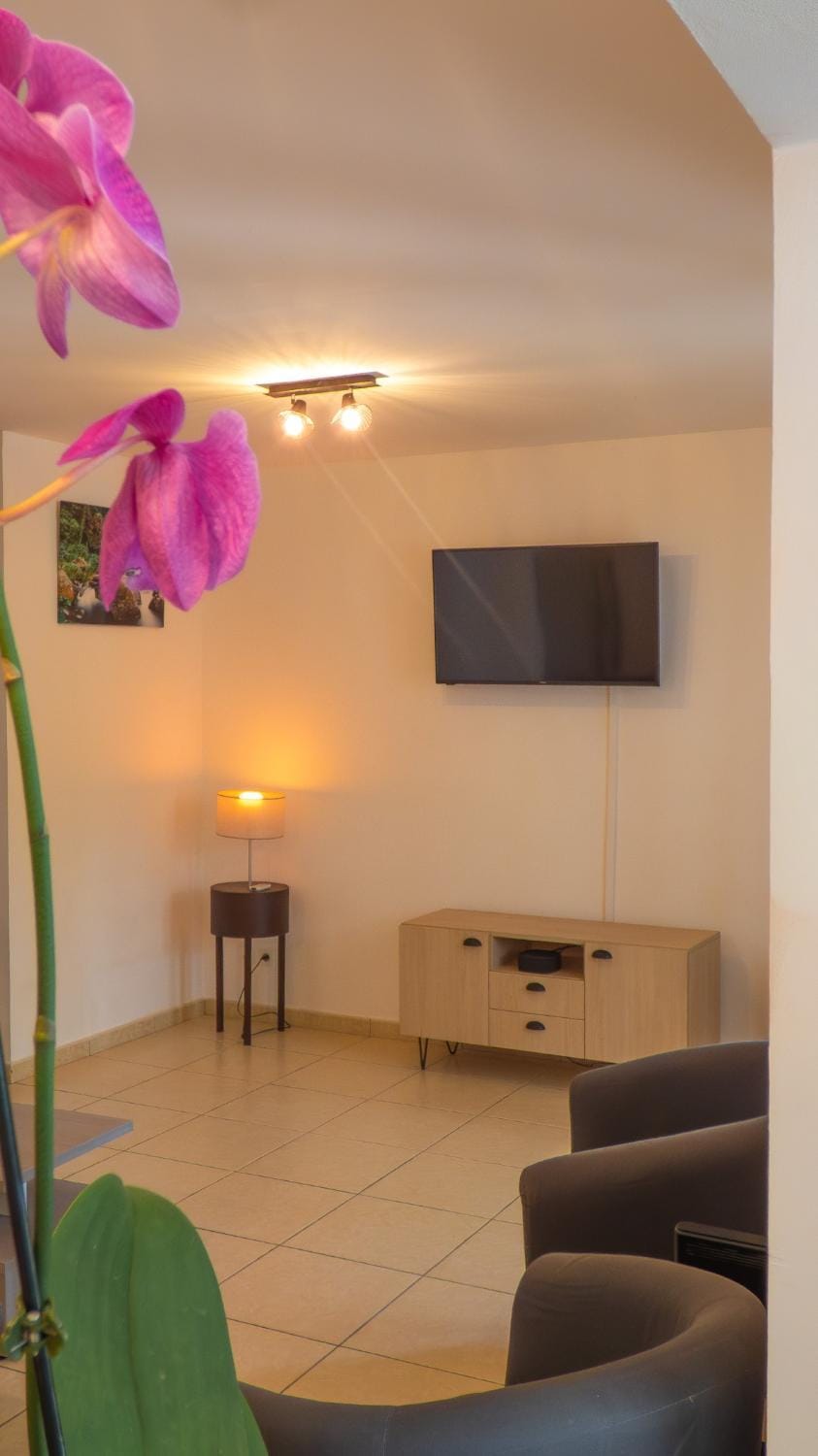 TV and multimedia, Living room