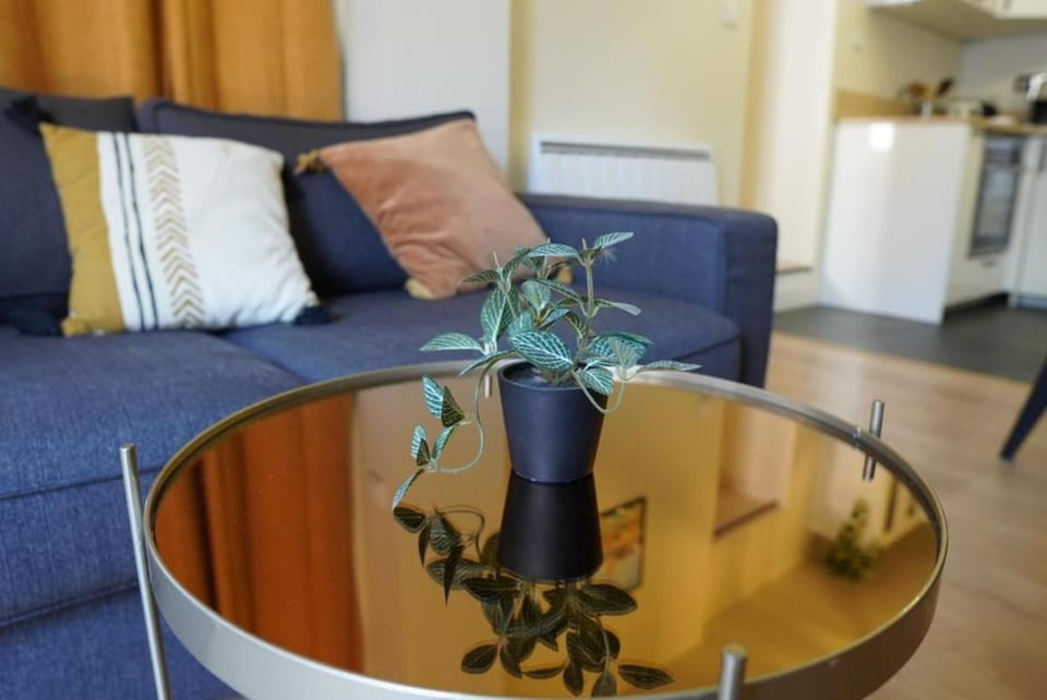 Au Rez-de-Vauquois - Cosy Confort centre Ville Apartment in Orléans