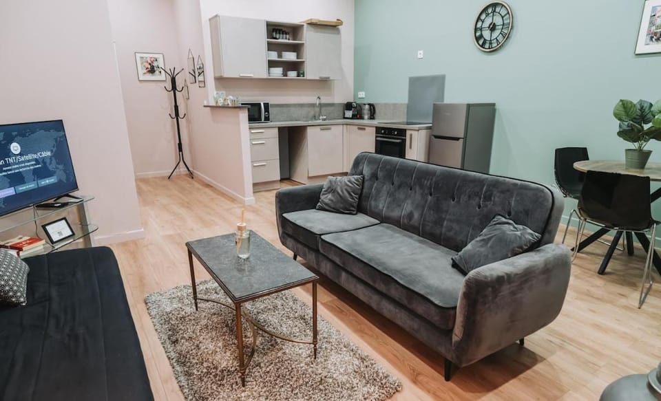 Appartement confortable Villeurbanne Apartment in Villeurbanne