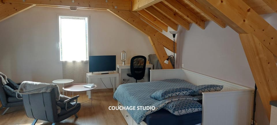 Photo of the whole room
