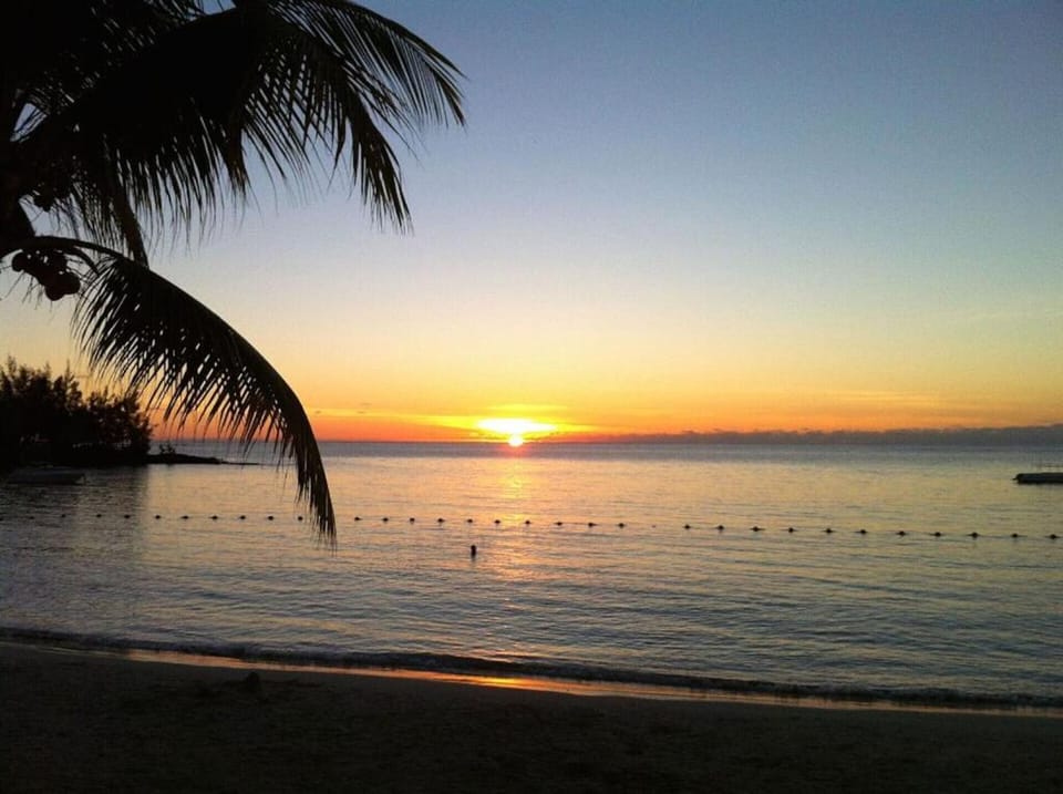 BeachHead Property, 1 Max Plaza Building, Royal Road, Pereybere, Mauritius, Apartment in Mauritius