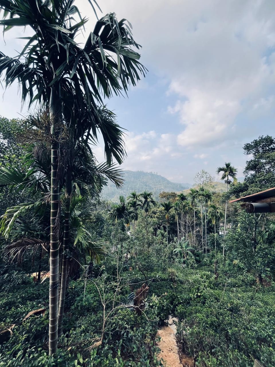 Cinderella three arch view Nature lodge in Uva Province, Sri Lanka