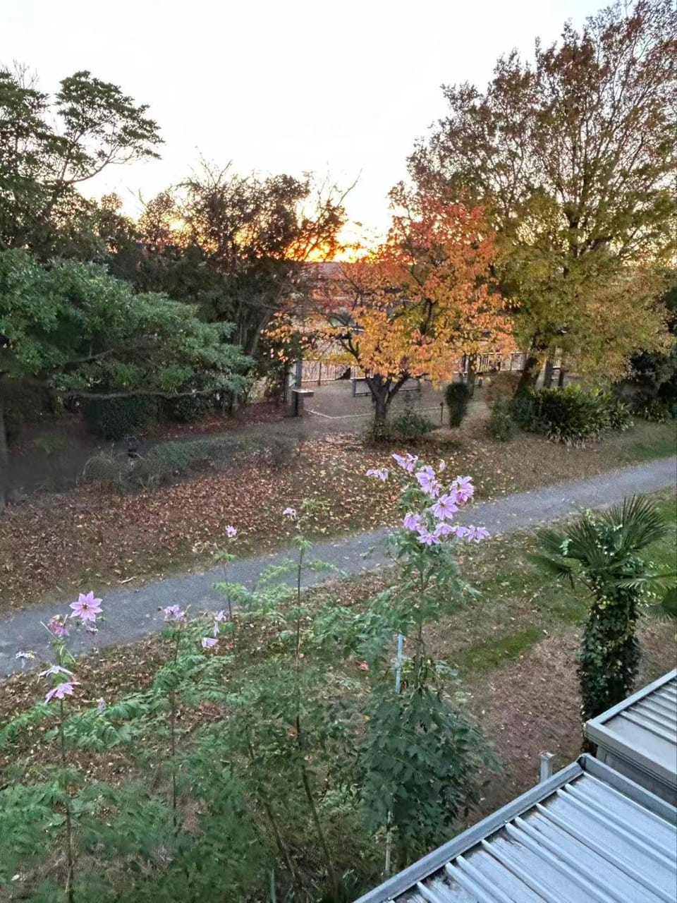 View (from property/room)
