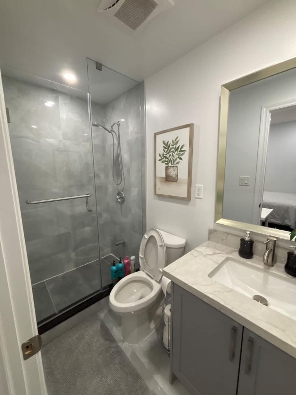 Private Room with Private Bath in Shared Home Apartment in Milton
