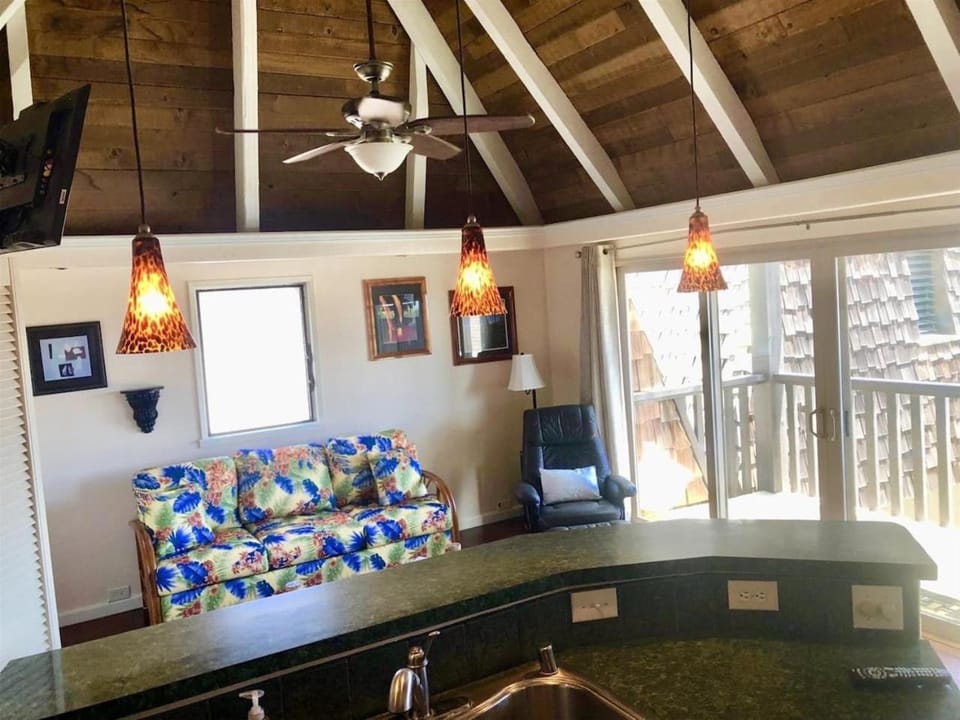 56 One Bedroom One Bath with Ocean Views House in Big Island