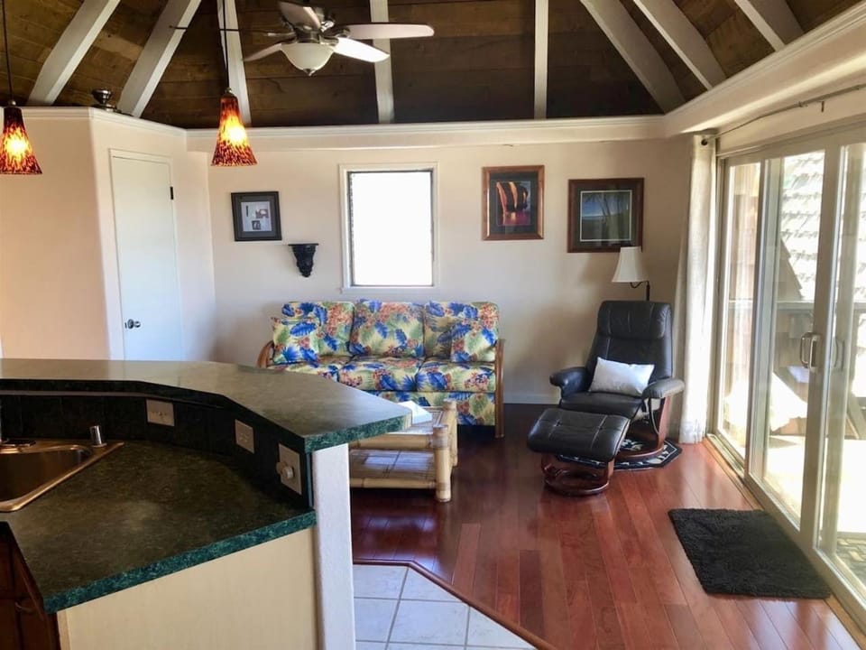 56 One Bedroom One Bath with Ocean Views House in Big Island