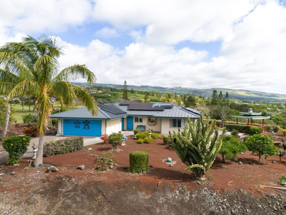 Property building, Other, Garden view