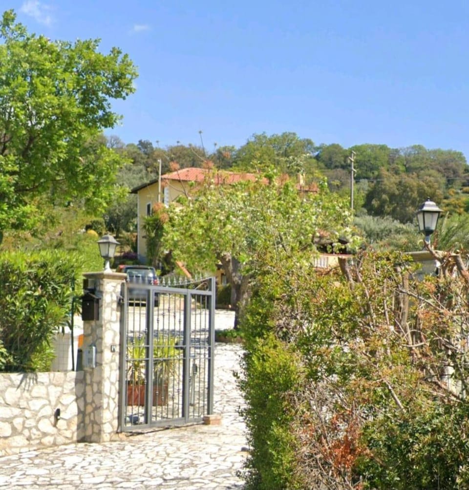 Day, Natural landscape, Garden, Garden view