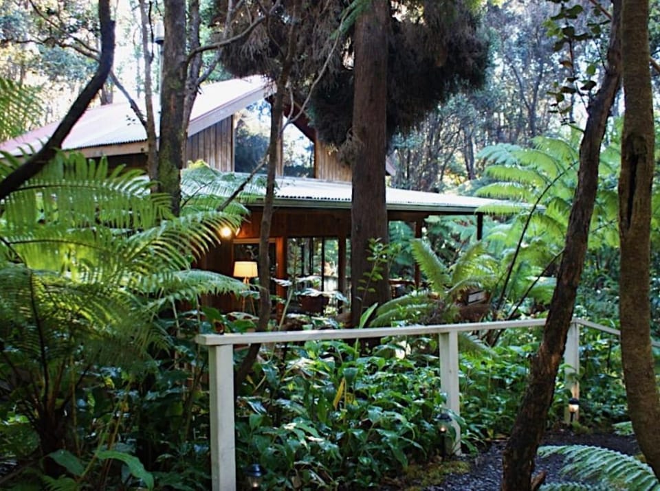 Beautiful Cedar Cottage in Volcano House in Volcano