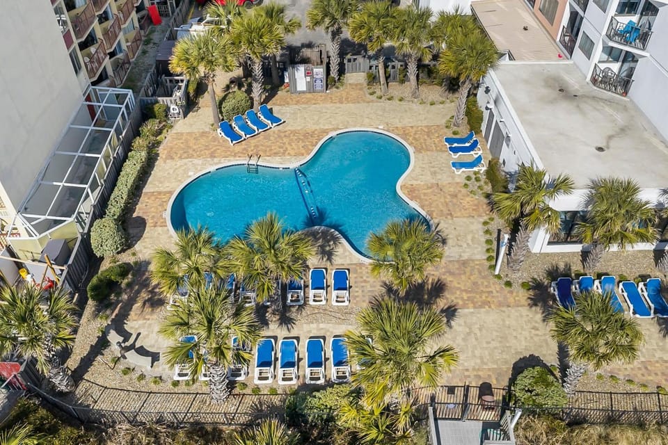 Spring, Day, Natural landscape, Bird's eye view, Pool view, Swimming pool, sunbed