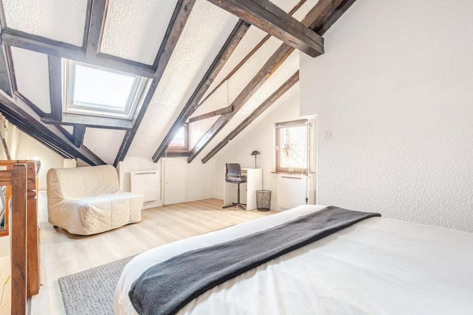 Duplex Centre historique Apartment in Strasbourg